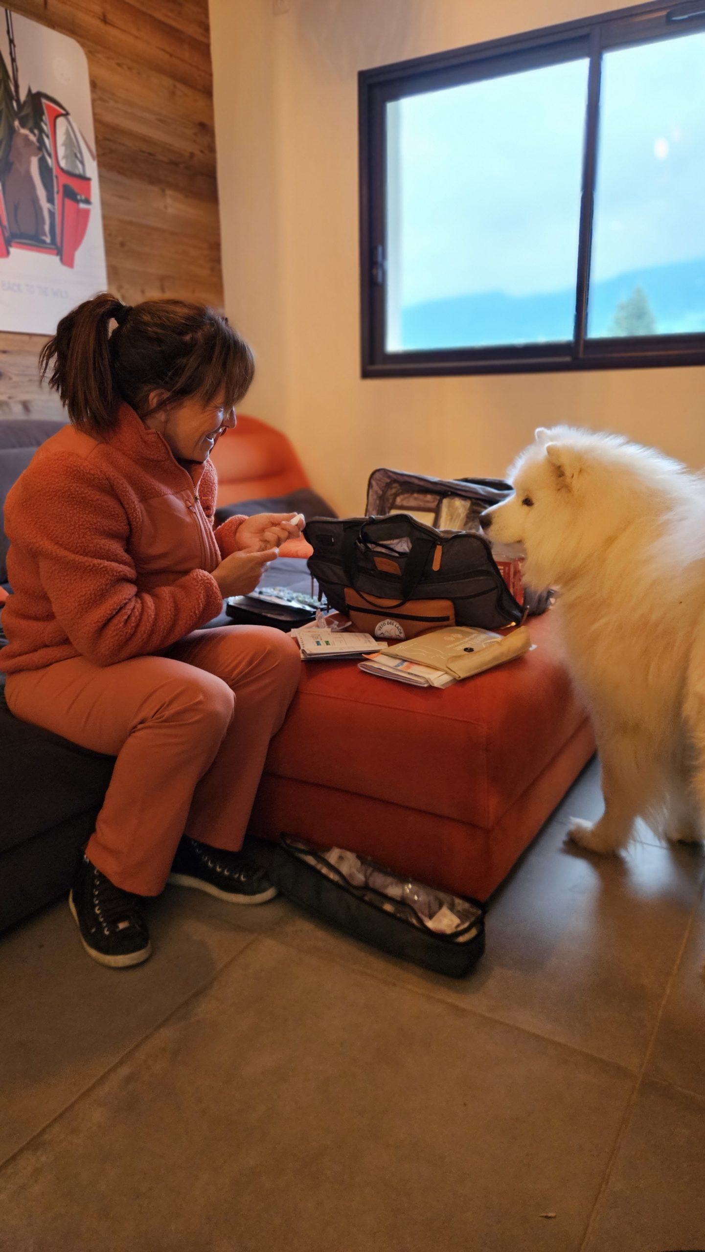 VÉTO DES LACS :  Soins vétérinaires professionnels pour vos animaux de compagnie et assistance pour les animaux sauvages. Contactez-nous pour des conseils et des services adaptés à vos besoins.