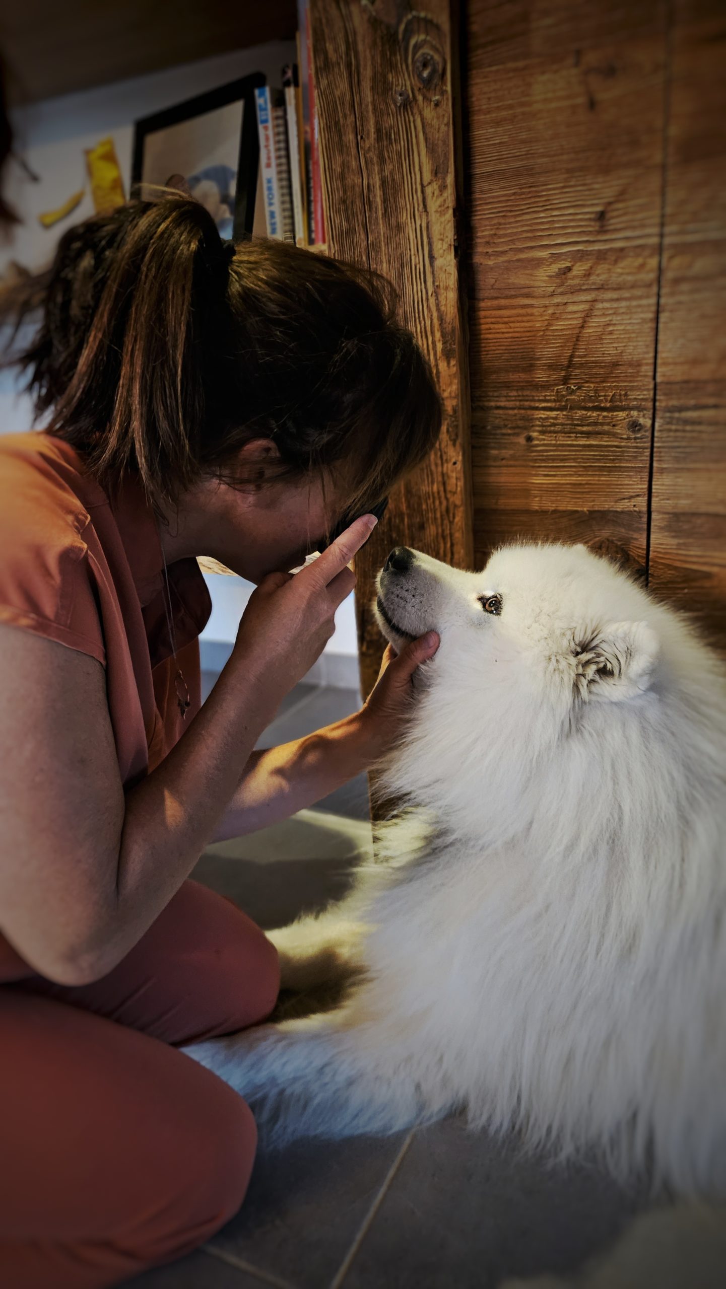 VÉTO DES LACS :  Soins vétérinaires professionnels pour vos animaux de compagnie et assistance pour les animaux sauvages. Contactez-nous pour des conseils et des services adaptés à vos besoins.