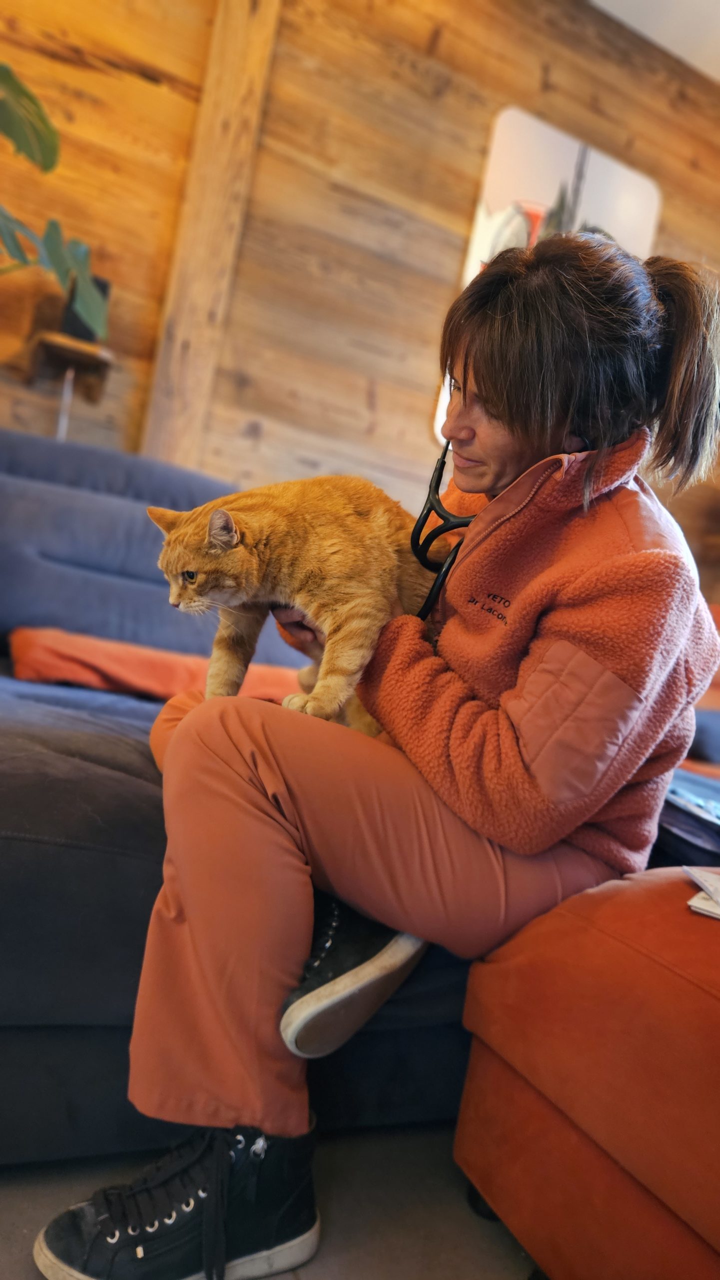 VÉTO DES LACS :  Soins vétérinaires professionnels pour vos animaux de compagnie et assistance pour les animaux sauvages. Contactez-nous pour des conseils et des services adaptés à vos besoins.