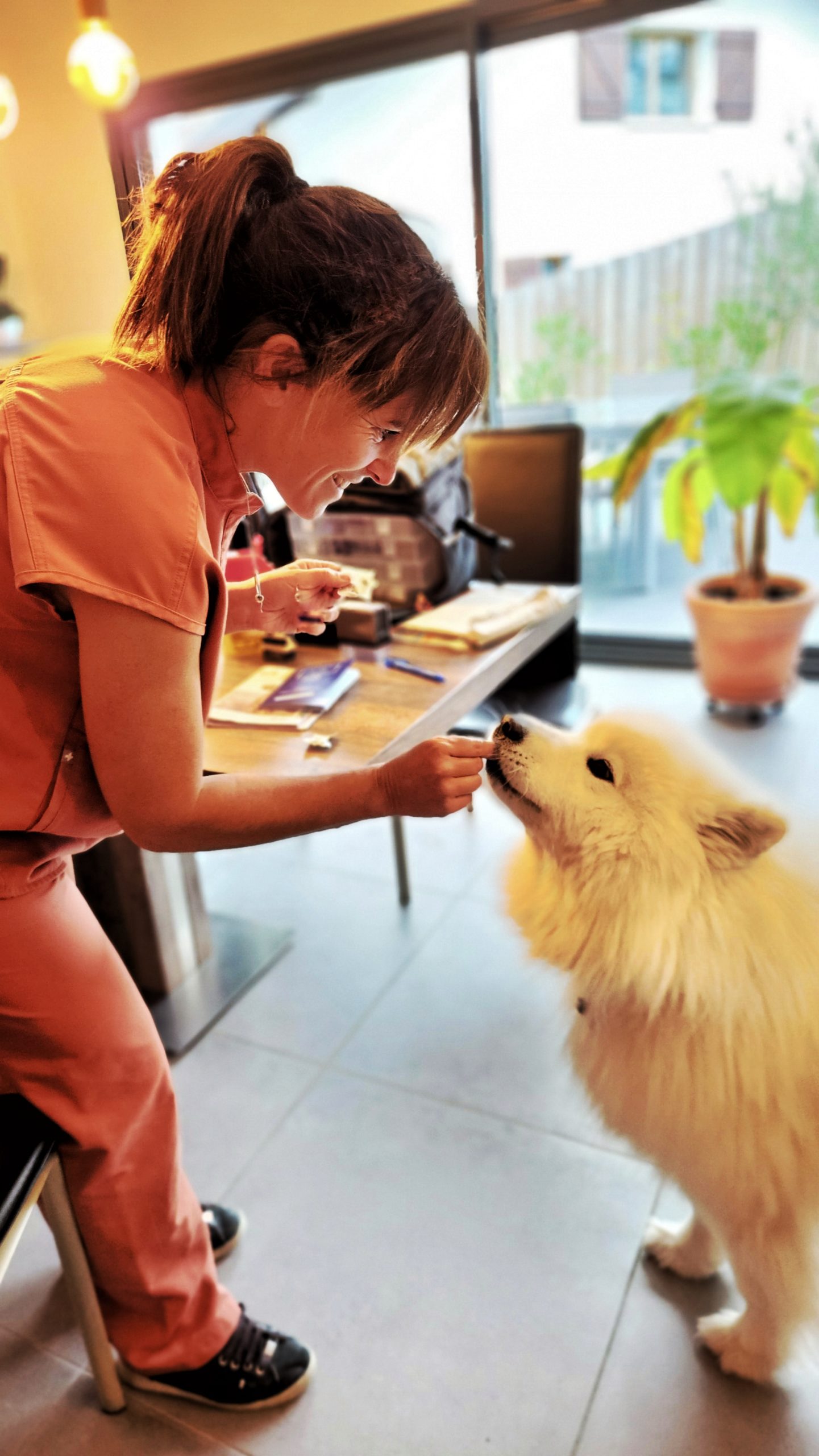 VÉTO DES LACS :  Soins vétérinaires professionnels pour vos animaux de compagnie et assistance pour les animaux sauvages. Contactez-nous pour des conseils et des services adaptés à vos besoins.