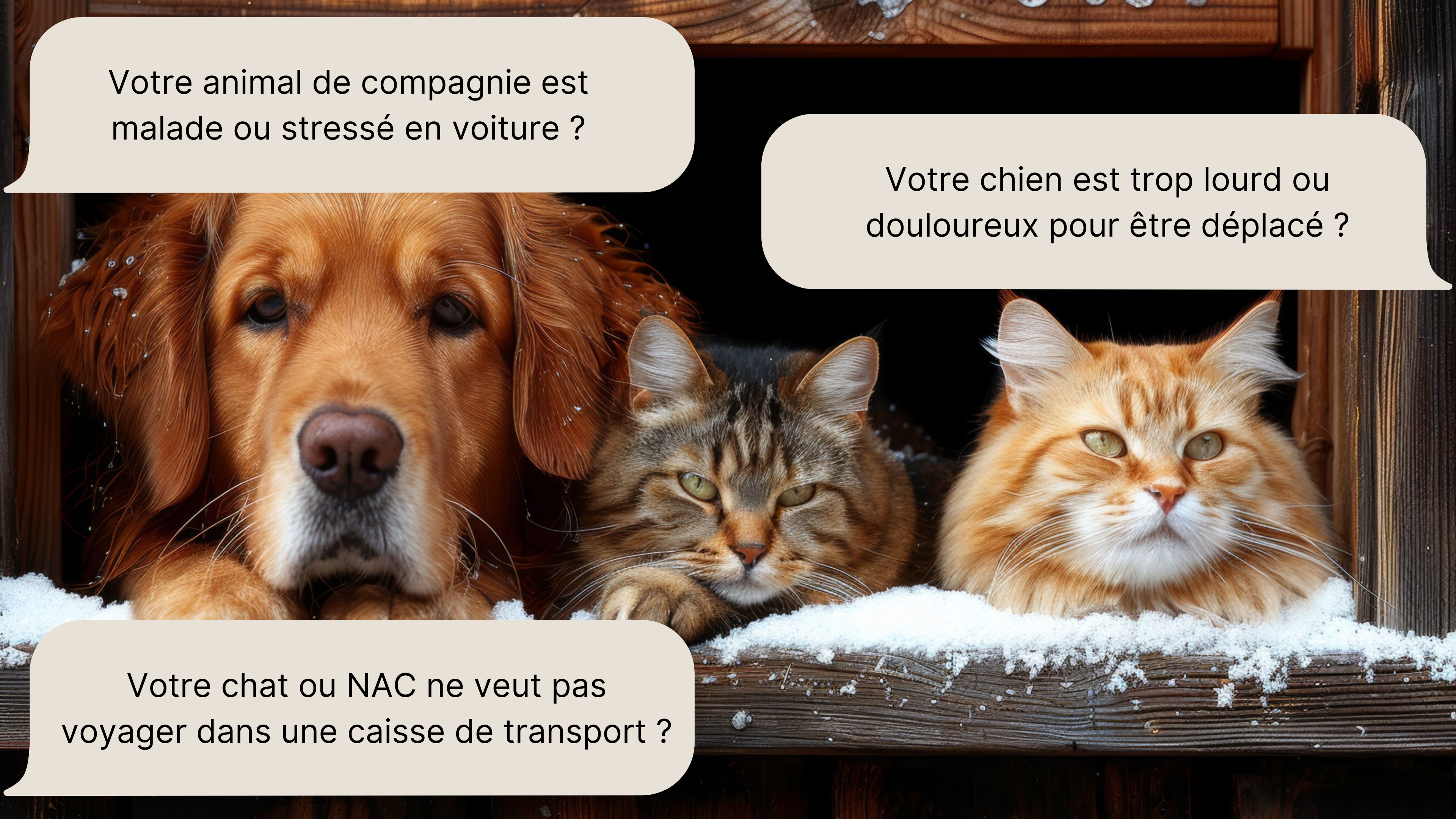 VÉTO DES LACS :  Soins vétérinaires professionnels pour vos animaux de compagnie et assistance pour les animaux sauvages. Contactez-nous pour des conseils et des services adaptés à vos besoins.