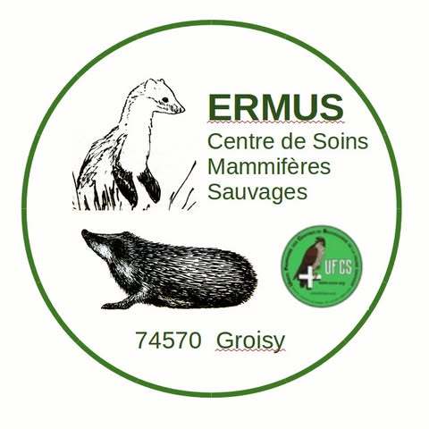 VÉTO DES LACS :  Soins vétérinaires professionnels pour vos animaux de compagnie et assistance pour les animaux sauvages. Contactez-nous pour des conseils et des services adaptés à vos besoins.