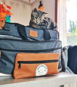 VÉTO DES LACS :  Soins vétérinaires professionnels pour vos animaux de compagnie et assistance pour les animaux sauvages. Contactez-nous pour des conseils et des services adaptés à vos besoins.