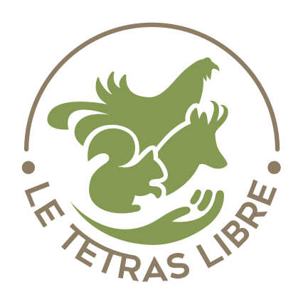 VÉTO DES LACS :  Soins vétérinaires professionnels pour vos animaux de compagnie et assistance pour les animaux sauvages. Contactez-nous pour des conseils et des services adaptés à vos besoins.