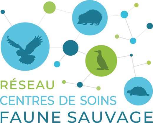VÉTO DES LACS :  Soins vétérinaires professionnels pour vos animaux de compagnie et assistance pour les animaux sauvages. Contactez-nous pour des conseils et des services adaptés à vos besoins.