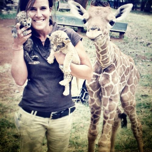 VÉTO DES LACS :  Soins vétérinaires professionnels pour vos animaux de compagnie et assistance pour les animaux sauvages. Contactez-nous pour des conseils et des services adaptés à vos besoins.